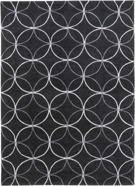 Byled Transitional Area Rug