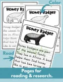 Honey Badger Read Write Color