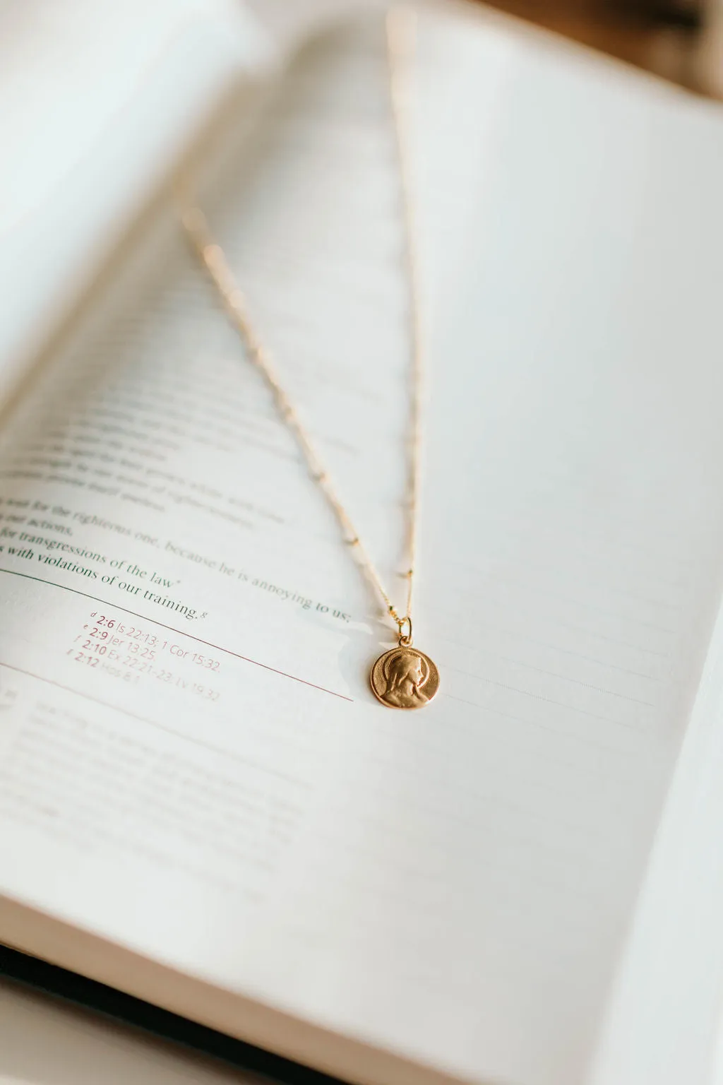 Our Lady of Lourdes Pendant