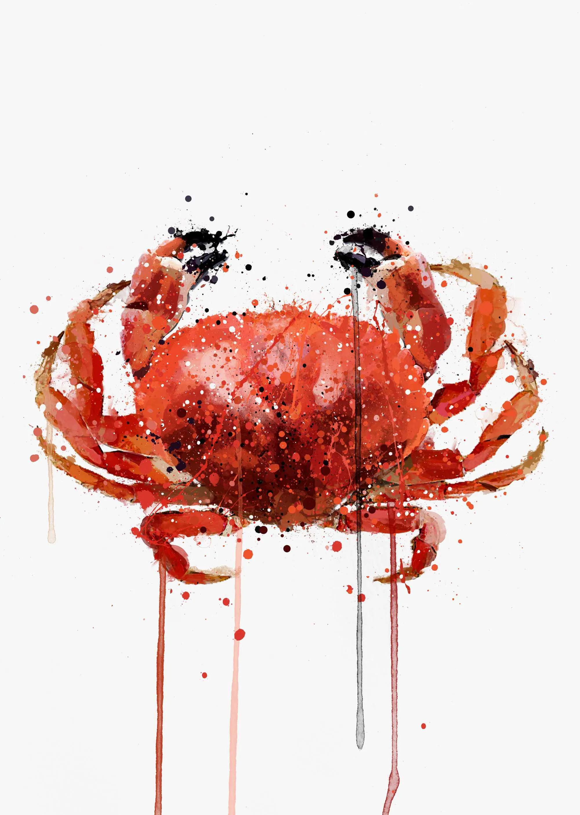Seafood Wall Art Print 'Red Crab'